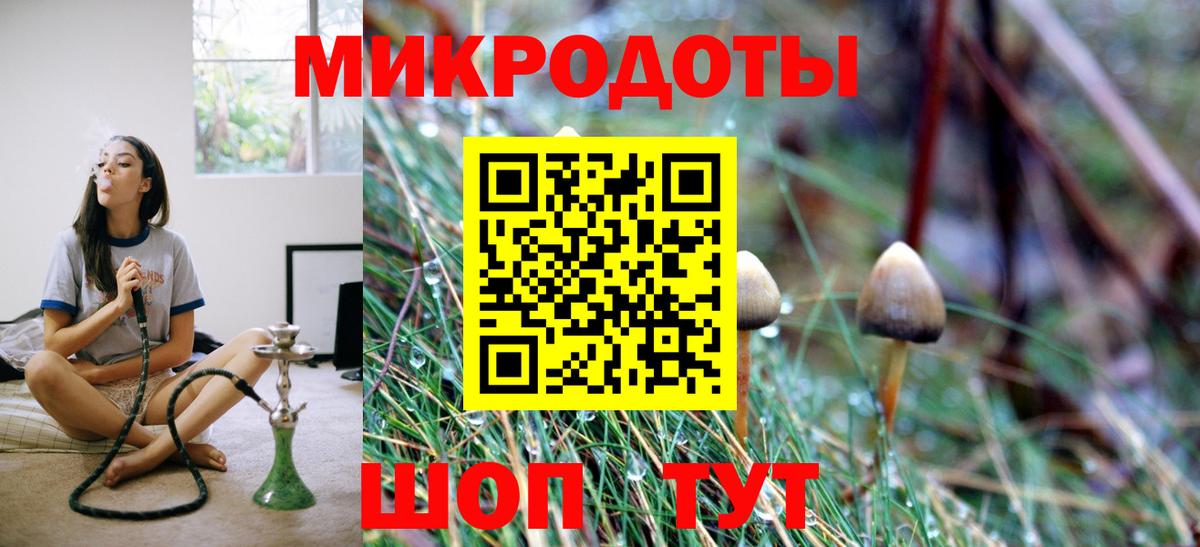 Псилоцибиновые грибы Cubensis  Вход с VPN  Биробиджан 